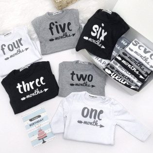 Набір 12 боді по місяцях "Стрілочки"