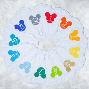 Набір 12 боді для фотосесії по місяцях "Міккі" хлопчик