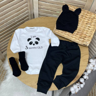 Боди "I'm 6 months old" панда