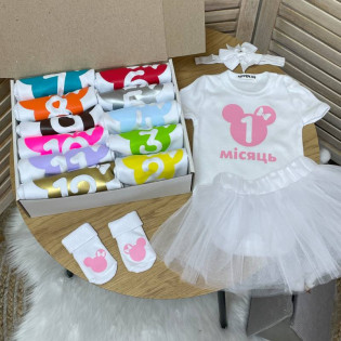 Набір 12 боді по місяцях "Мінні" різноколоровий