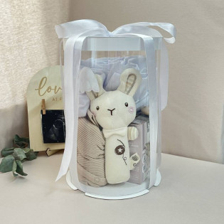 Маленький подарунковий бокс для новонароджених (преміум)